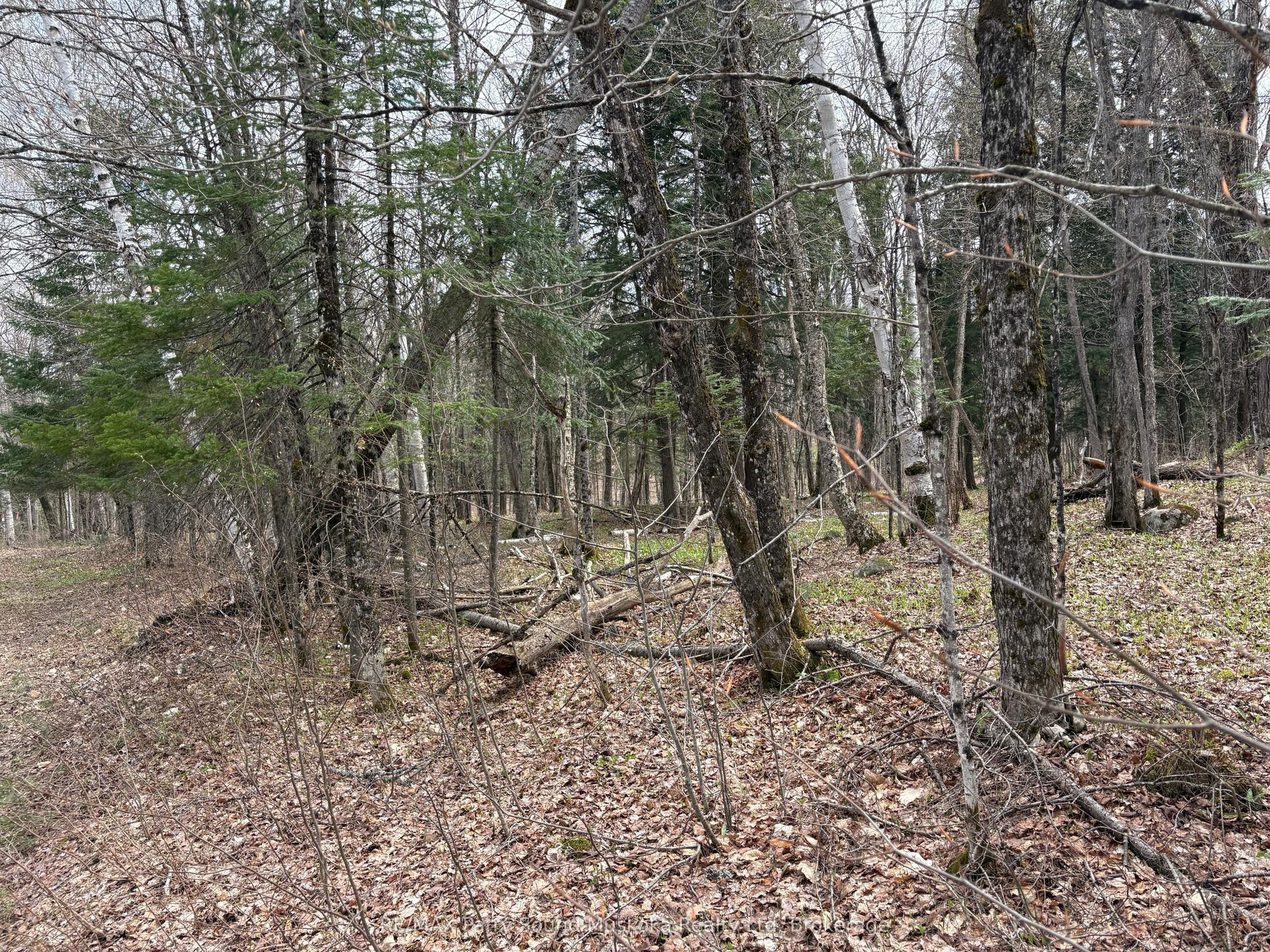 0 Ahmic Lake Road — photo 1