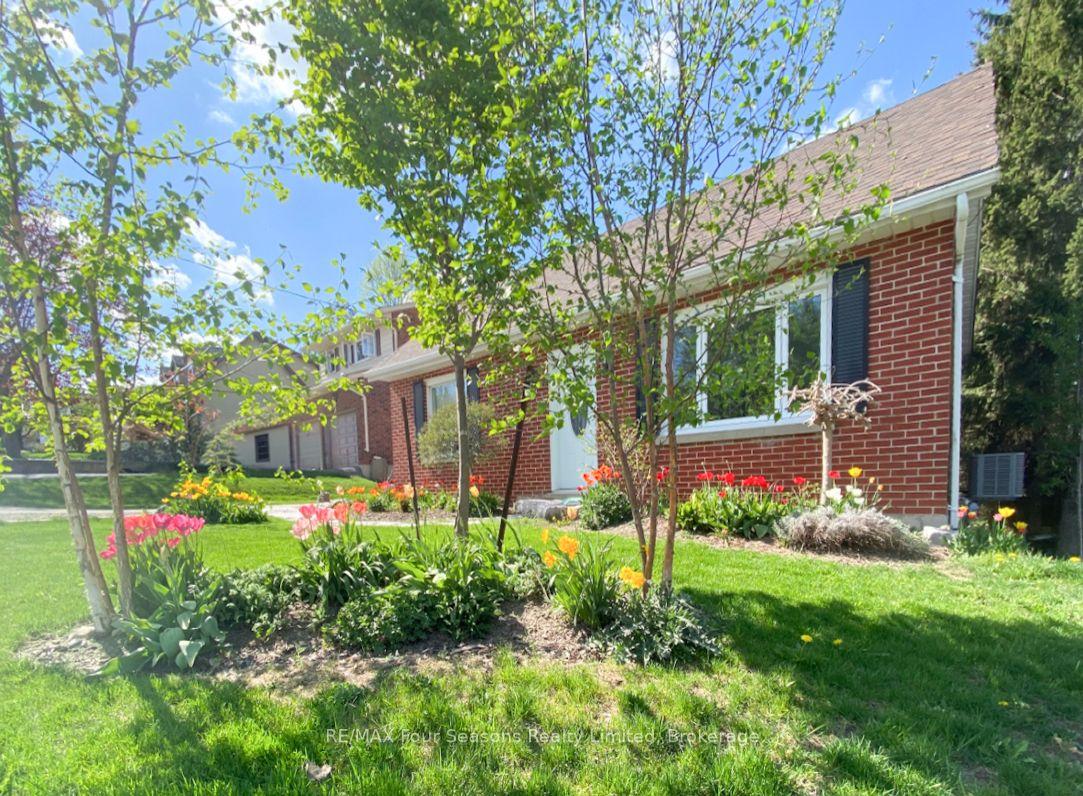 50 Amaranth Street W — photo 1