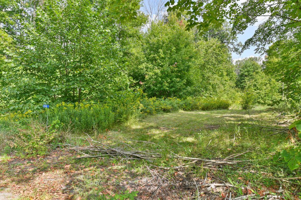 316 High Shore Road — photo 1