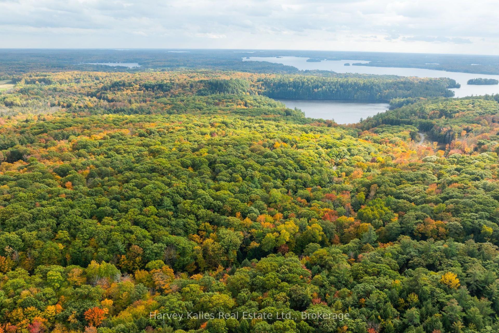 Across from 1210 Rostrevor Road, Muskoka Lakes — Land for sale, photo 1