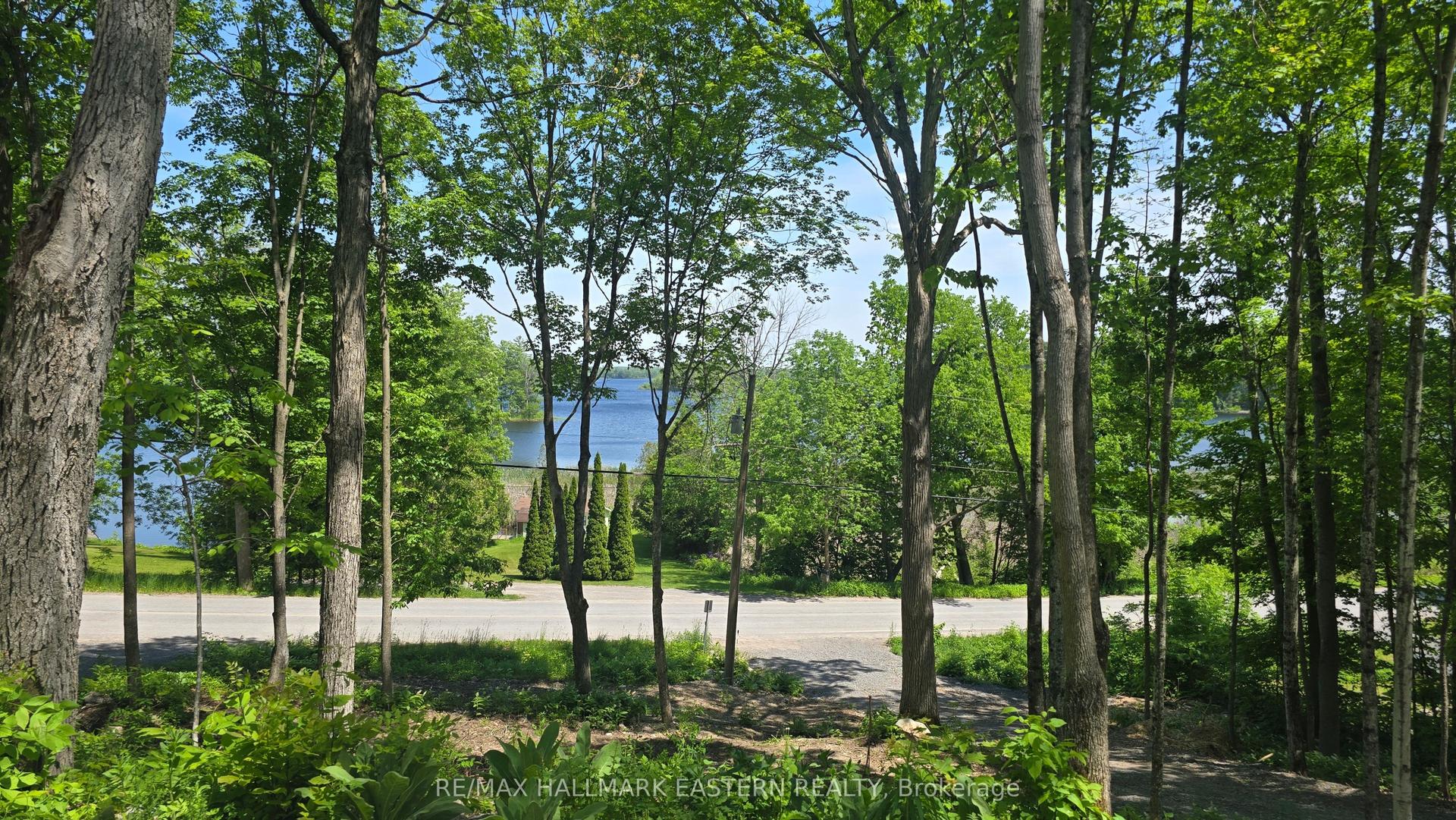 346 Blairton Road — photo 1