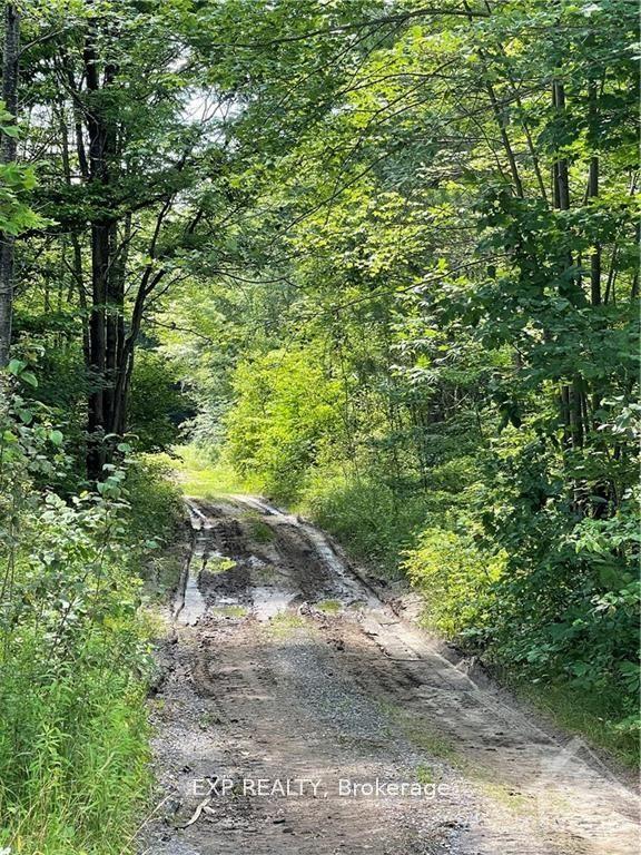 00 B CONCESSION ROAD 4 Road, Alfred and Plantagenet — Land for sale, photo 1