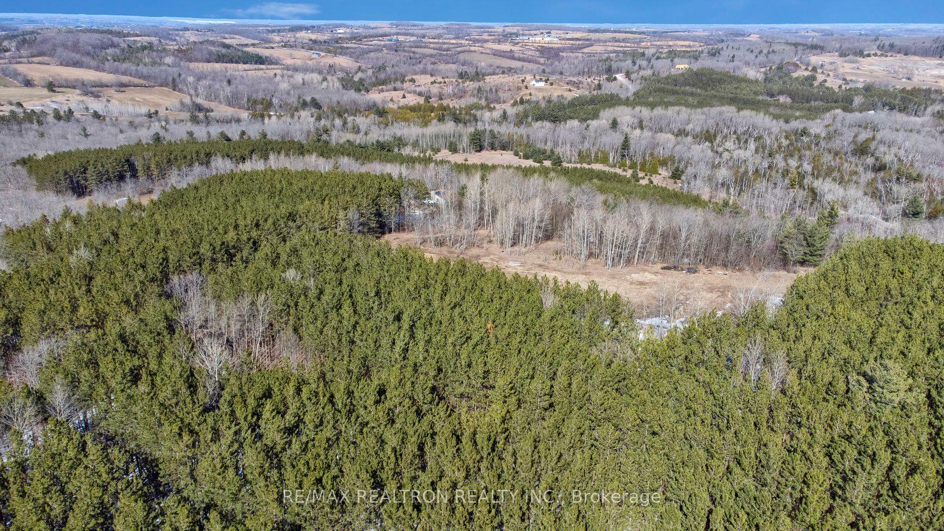 283 Bland Line — photo 1