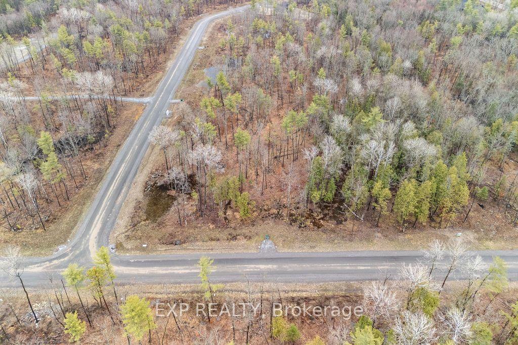 00 Black Spruce Court — photo 1