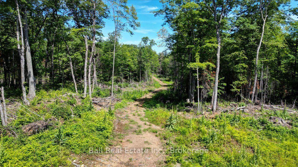 691 Bush Road, North Kawartha — Land for sale, photo 1