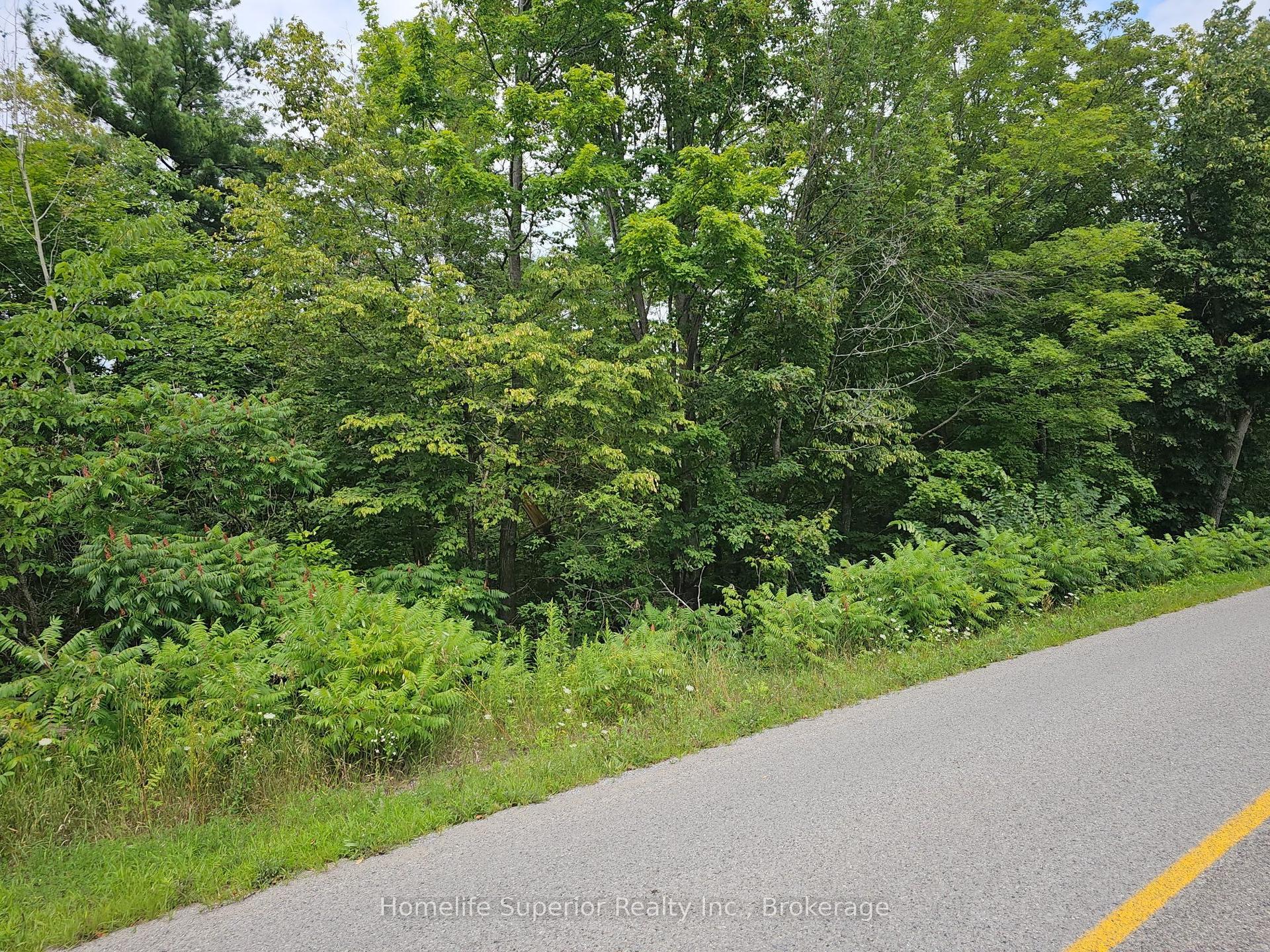 0 Con 11, Trent Hills — Land for sale, photo 1