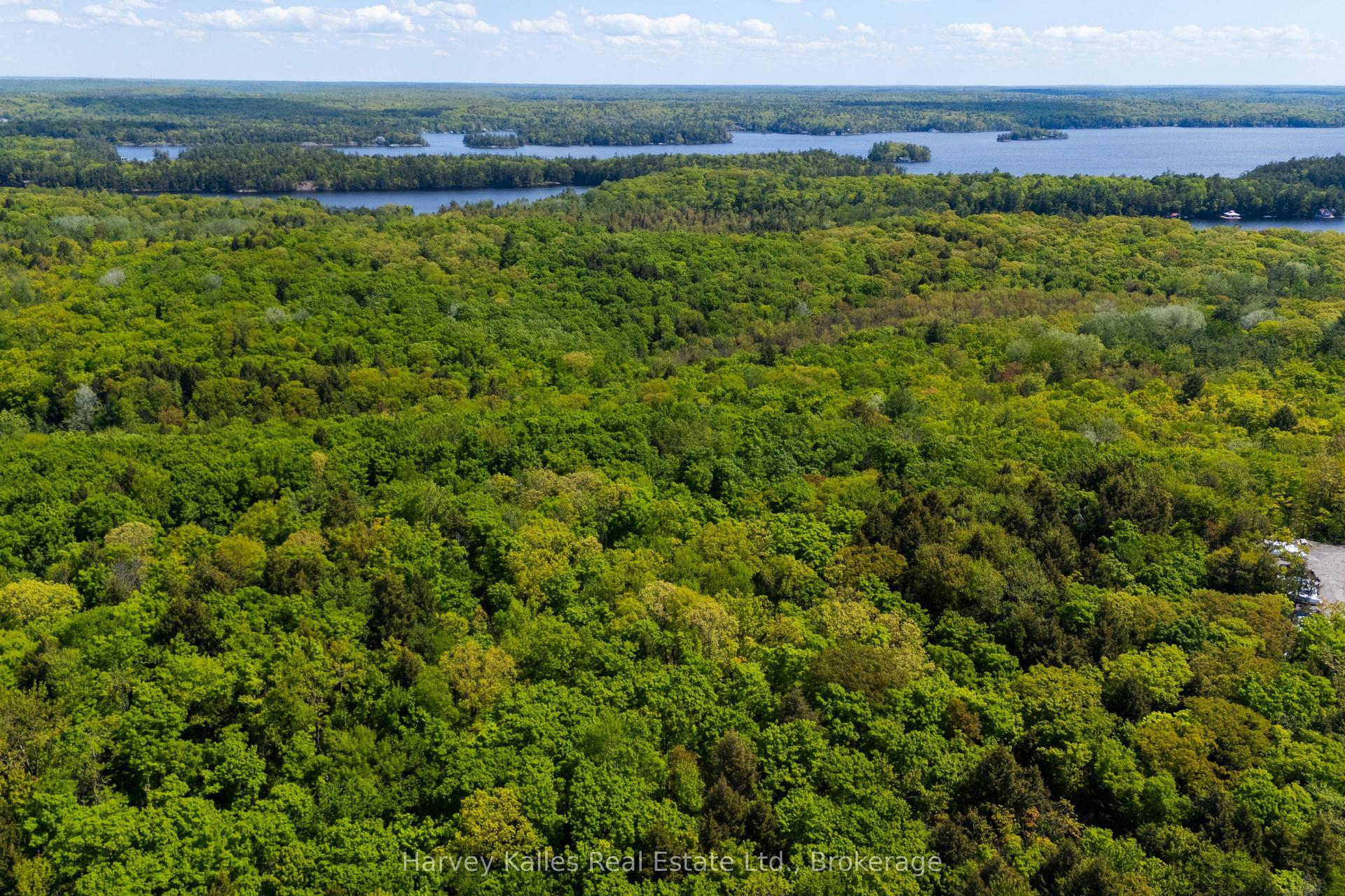 CON 1 PT LOT 12 Barlochan Road, Muskoka Lakes — Land for sale, photo 1