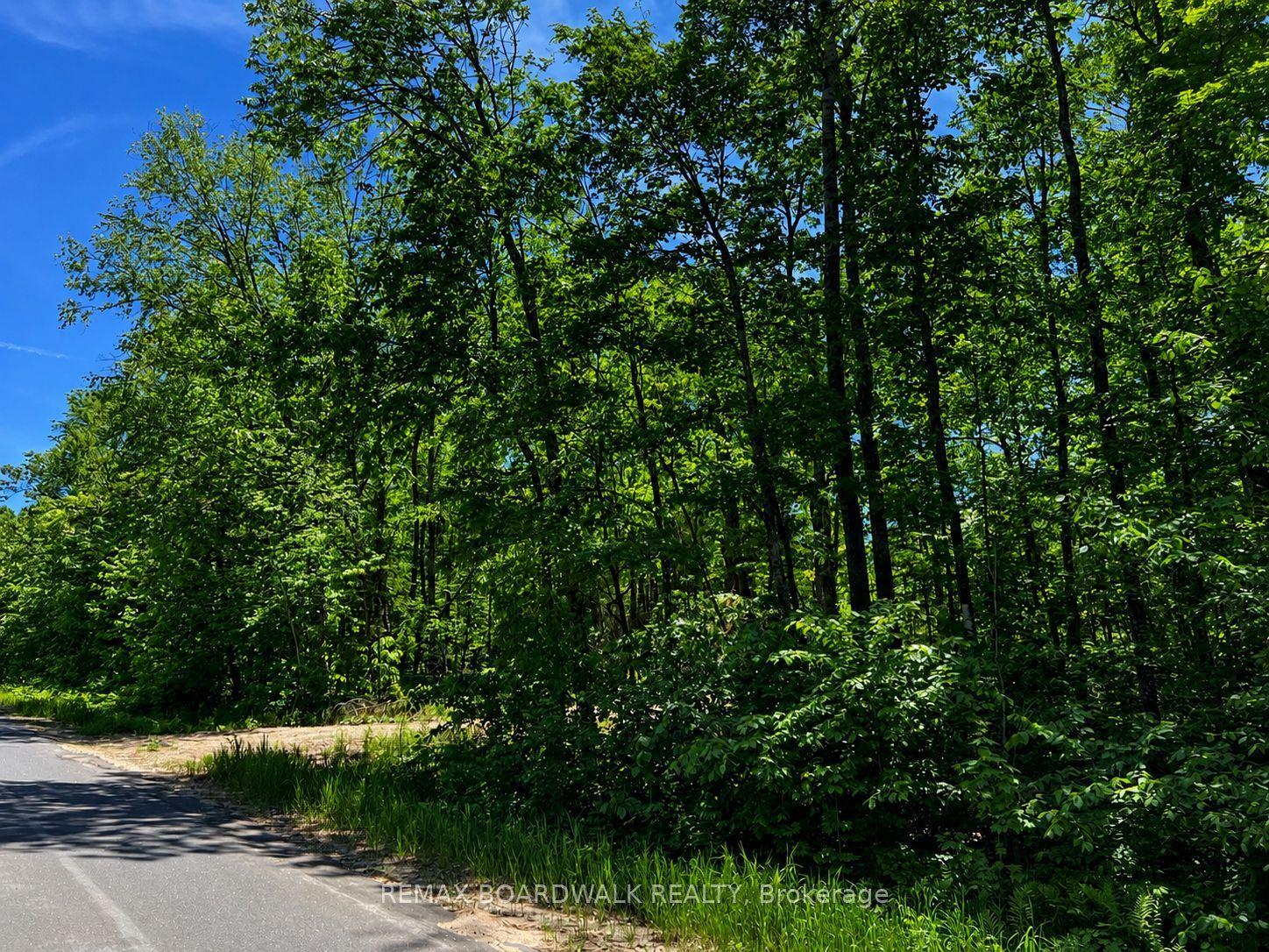0 Buckshot Lake Road — photo 1