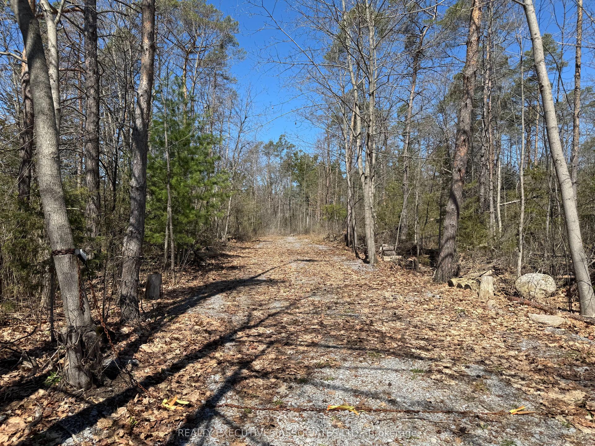 6192 County Rd 50 N/A — photo 1