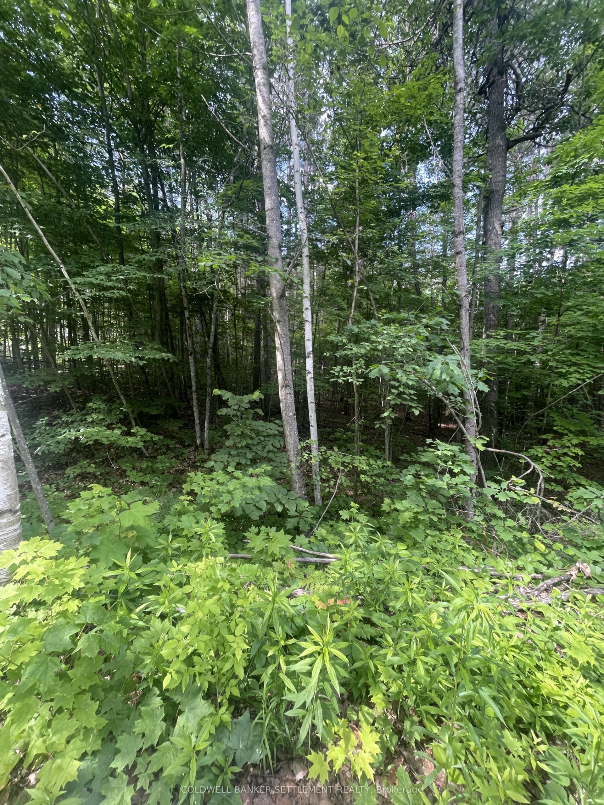 0 Pond Road, Tay Valley — Land for sale, photo 1