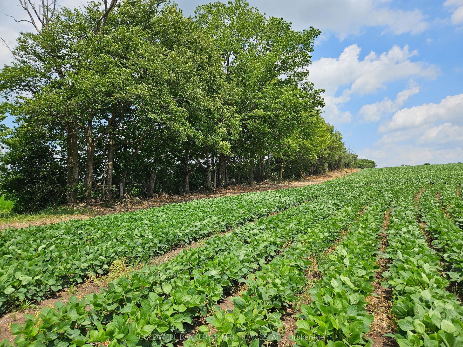10400 and 10800 Concession 6 Road, Uxbridge — Land for sale, photo 1
