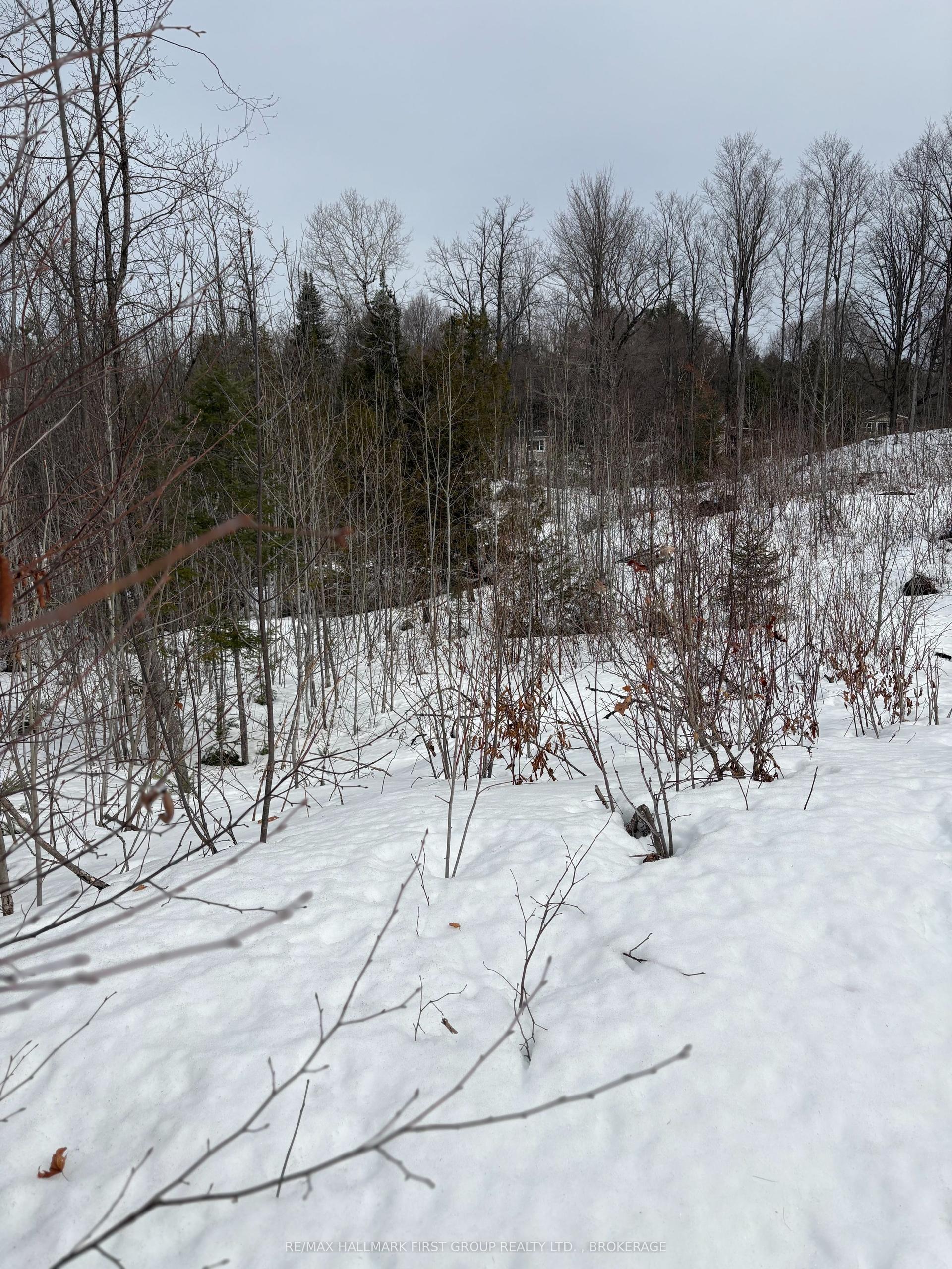 Lot 0 County Road 38 N/A — photo 1