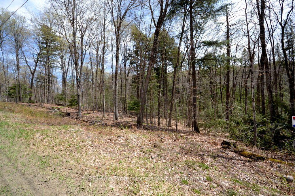 0 Liswood Road, Dysart et al — Land for sale, photo 1