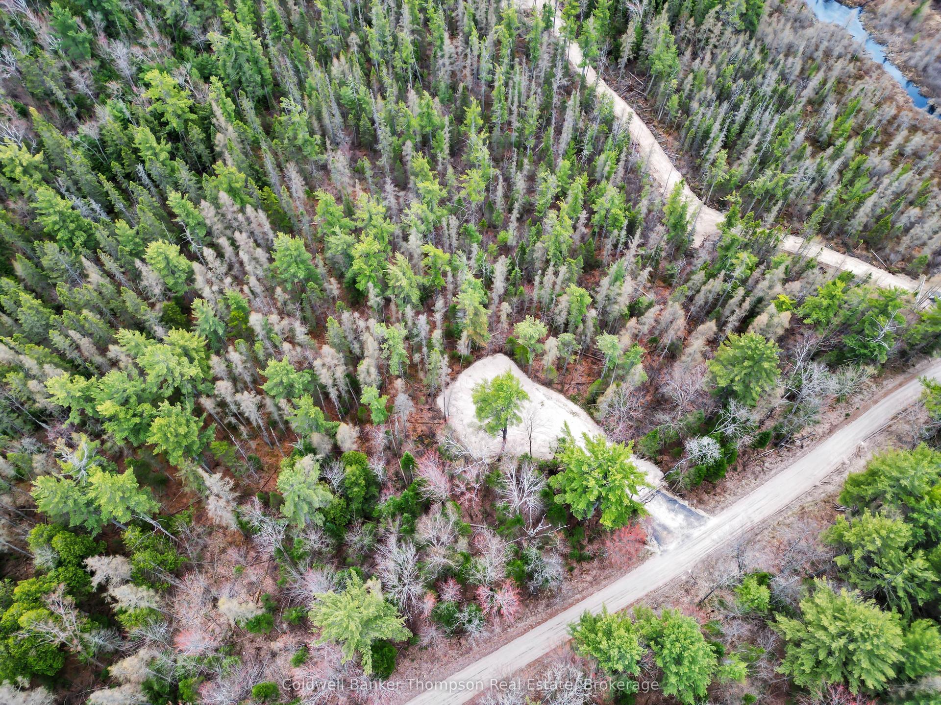 PART 6 AXE LAKE Road — photo 1