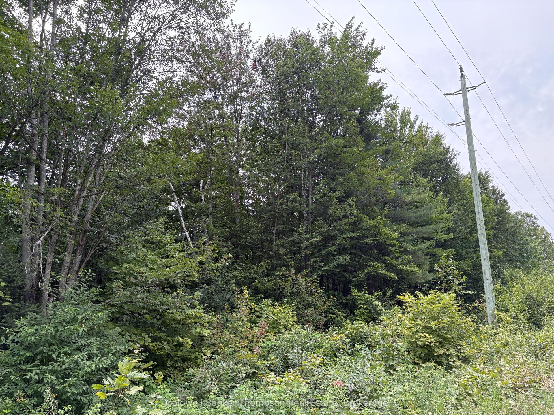 0 Hemlock Road — photo 1