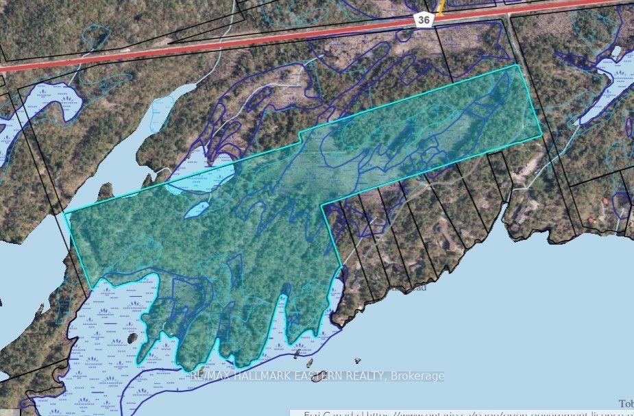 12 Fire Route 21, Trent Lakes — Land for sale, photo 1