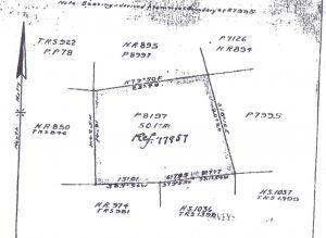 PCL 22289 N/A N/A — photo 1