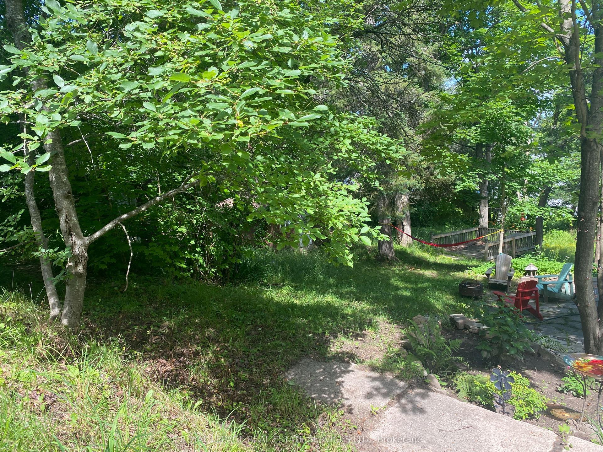 16 CORA Street E — photo 1