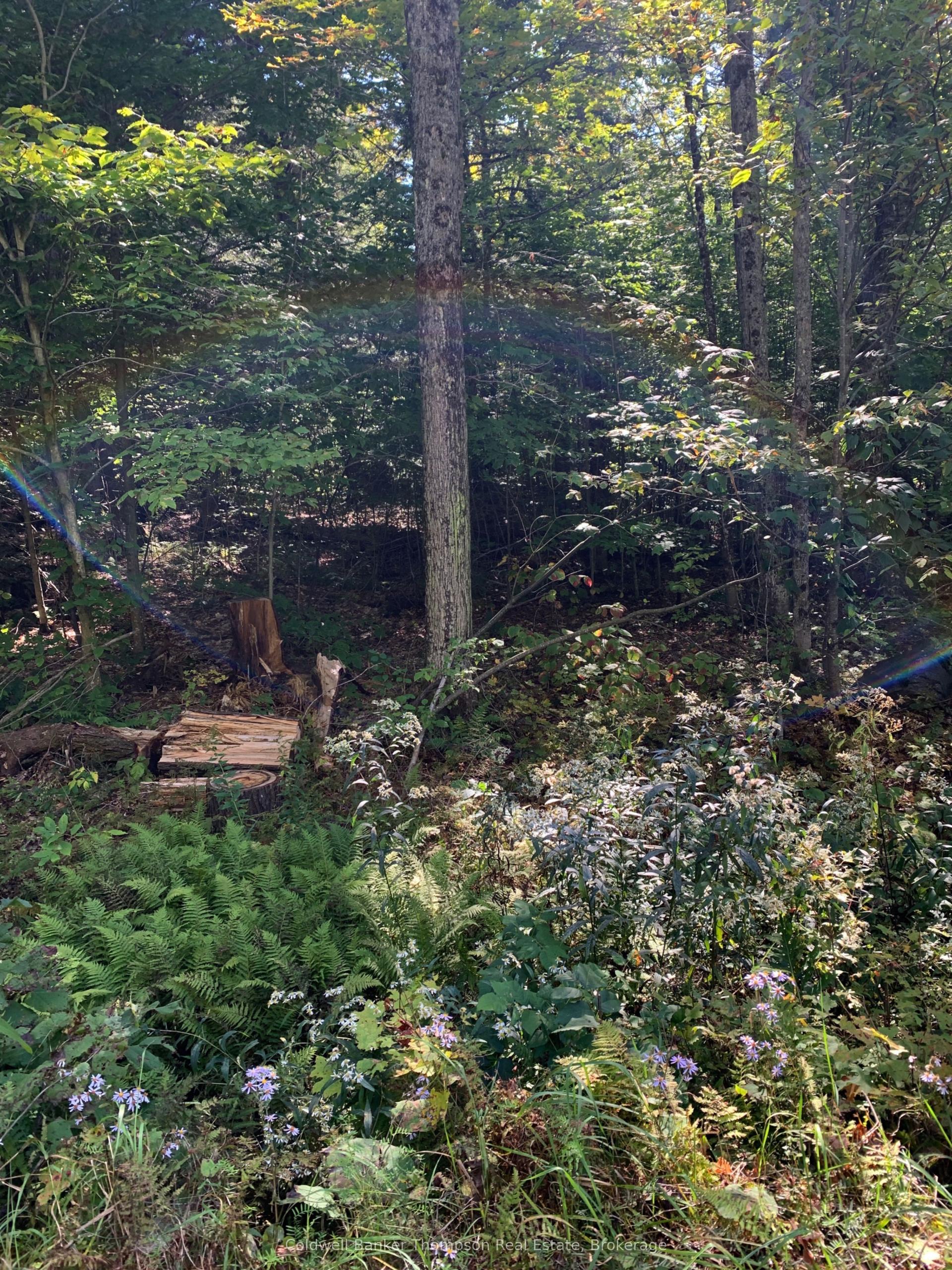 0 Ahmic Lake Road, Magnetawan — Land for sale, photo 1