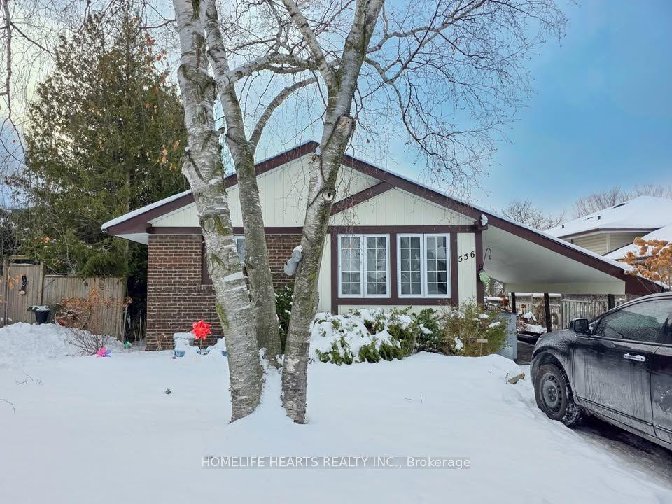 556 Capilano Crescent, Oshawa — Detached for lease, photo 1