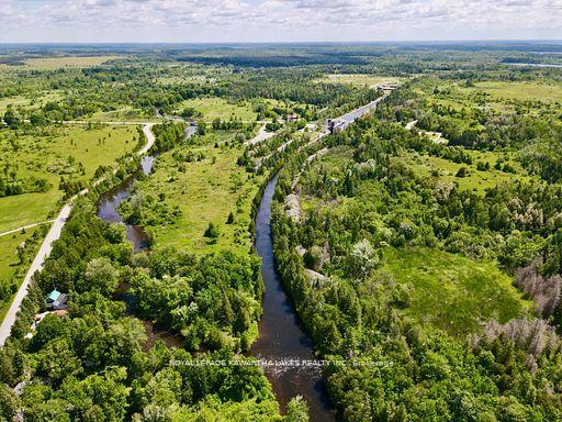 81 McGuire Beach Road, Kawartha Lakes — Detached for sale, photo 1