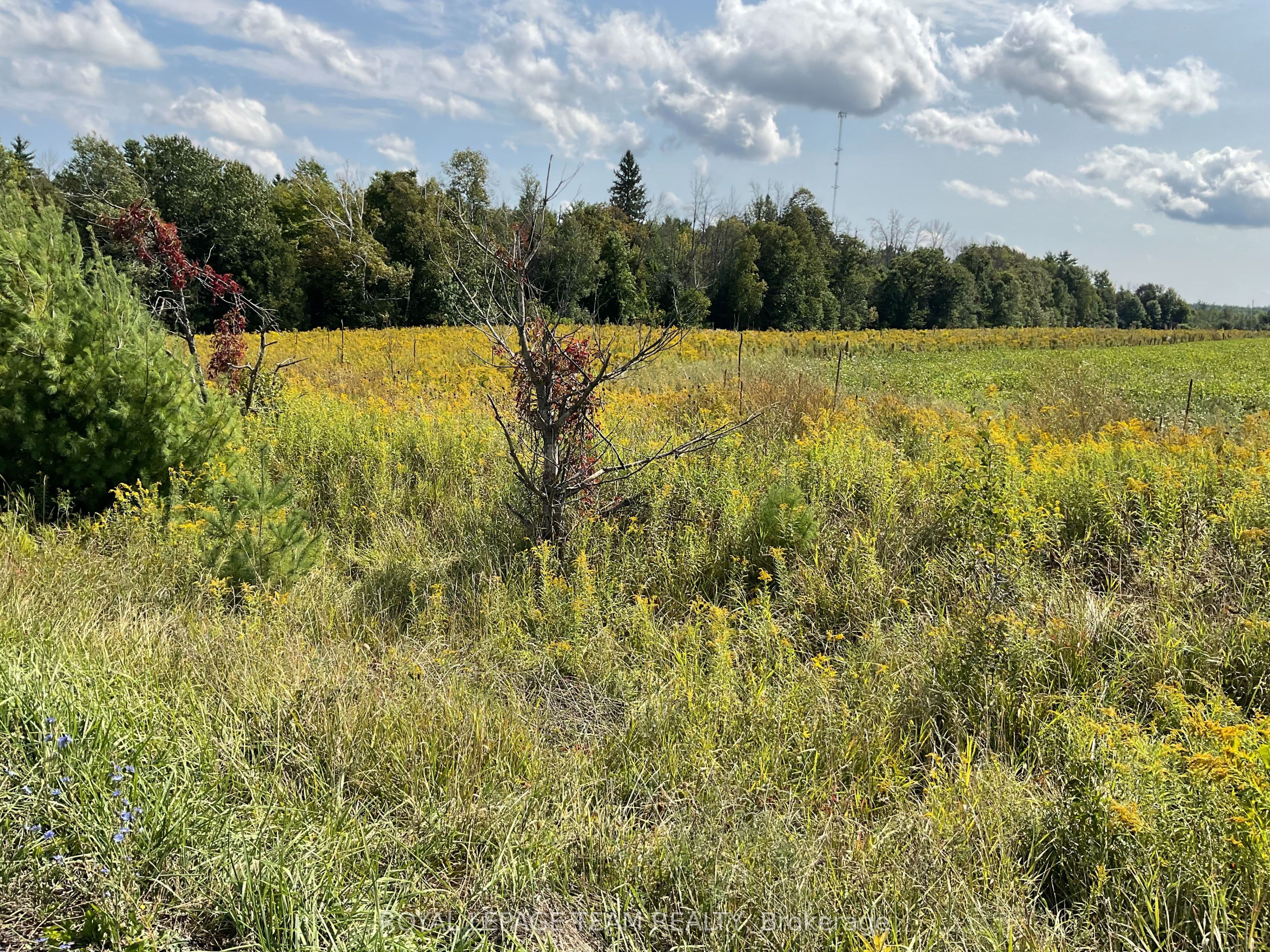 1211 BELLAMY Road — photo 1