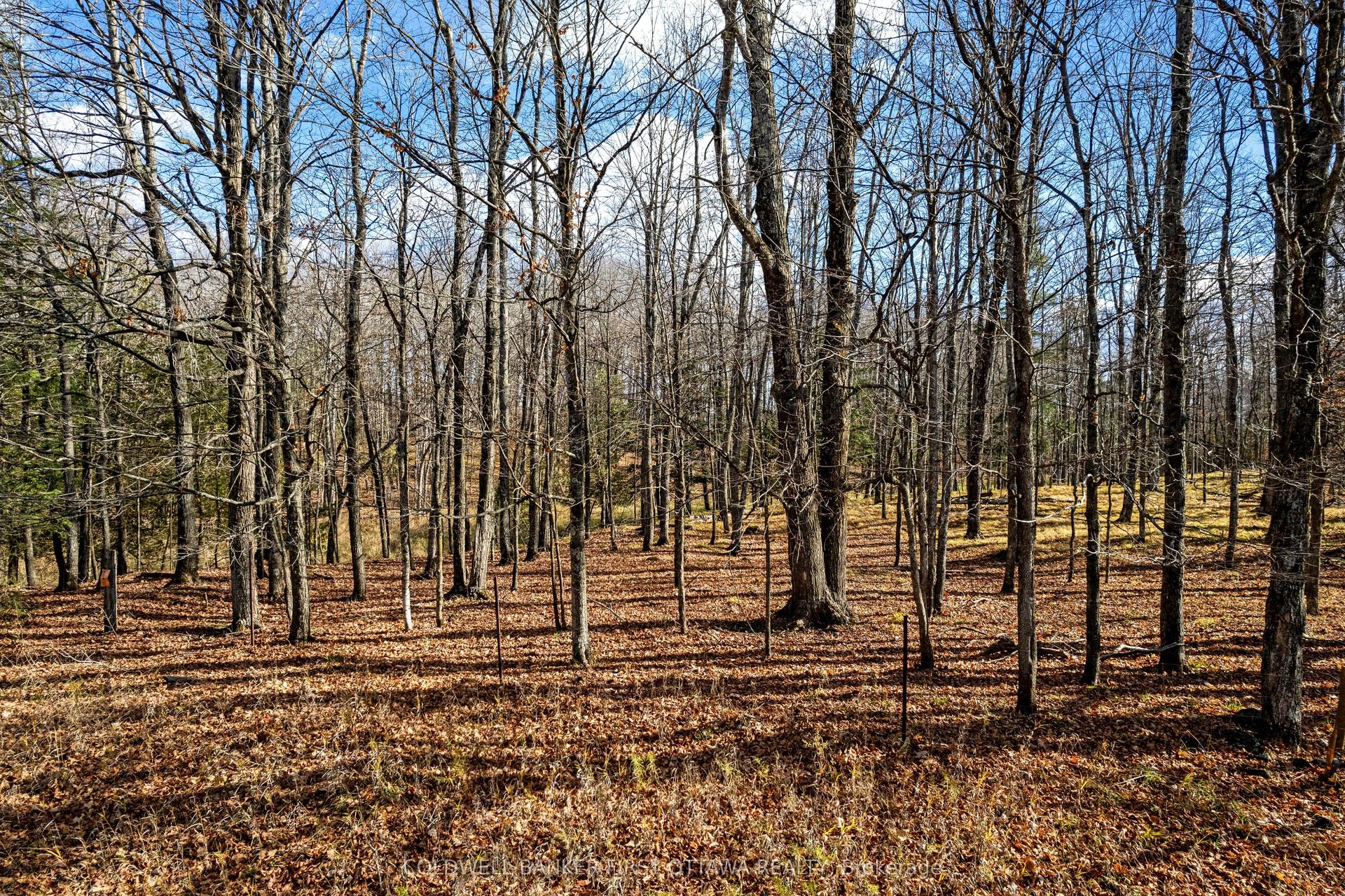 PT 3-00 Herron Mills Road — photo 1