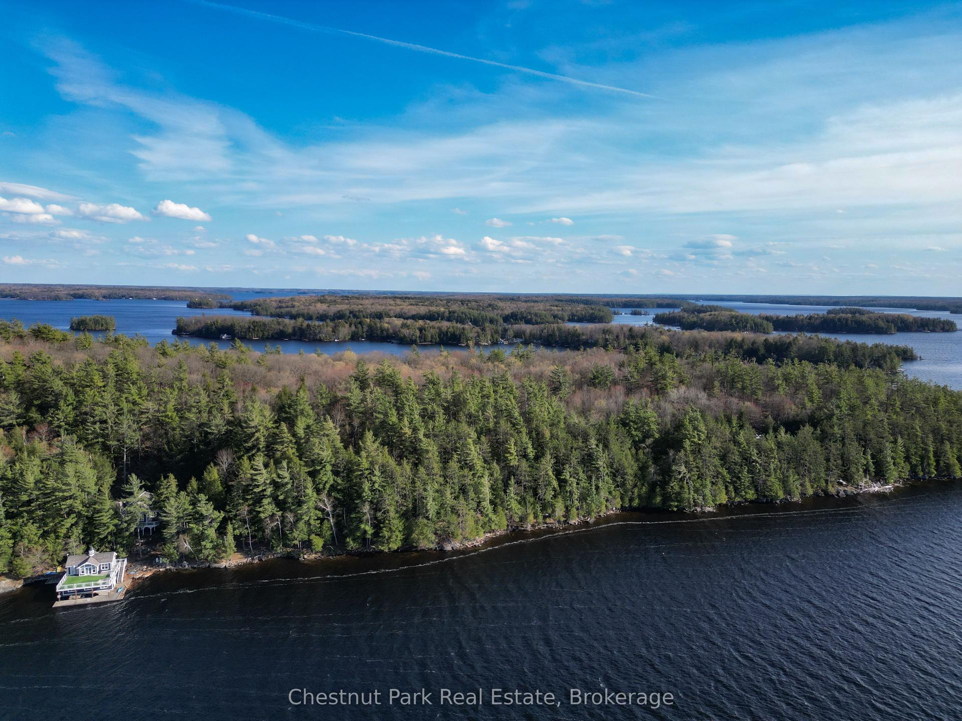 Pine (57 Island M81) Island — photo 1