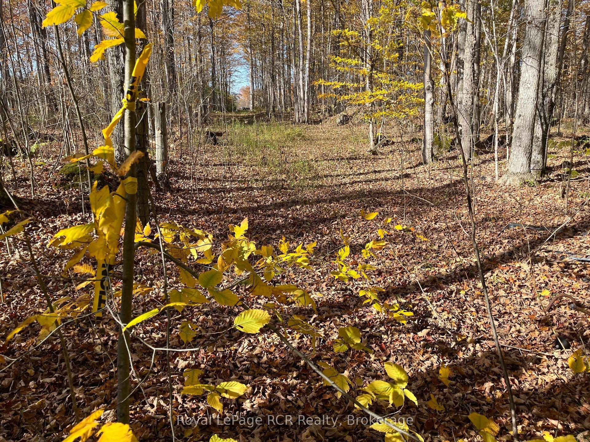 Part Lot 17 Grey Road 17 Road E — photo 1