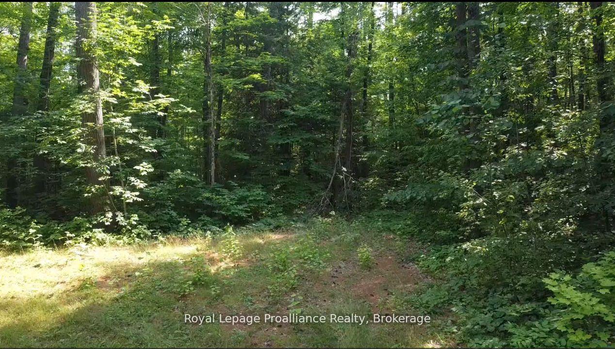 PT LT 22 Sunrise Beach Lane, Frontenac — Land for sale, photo 1