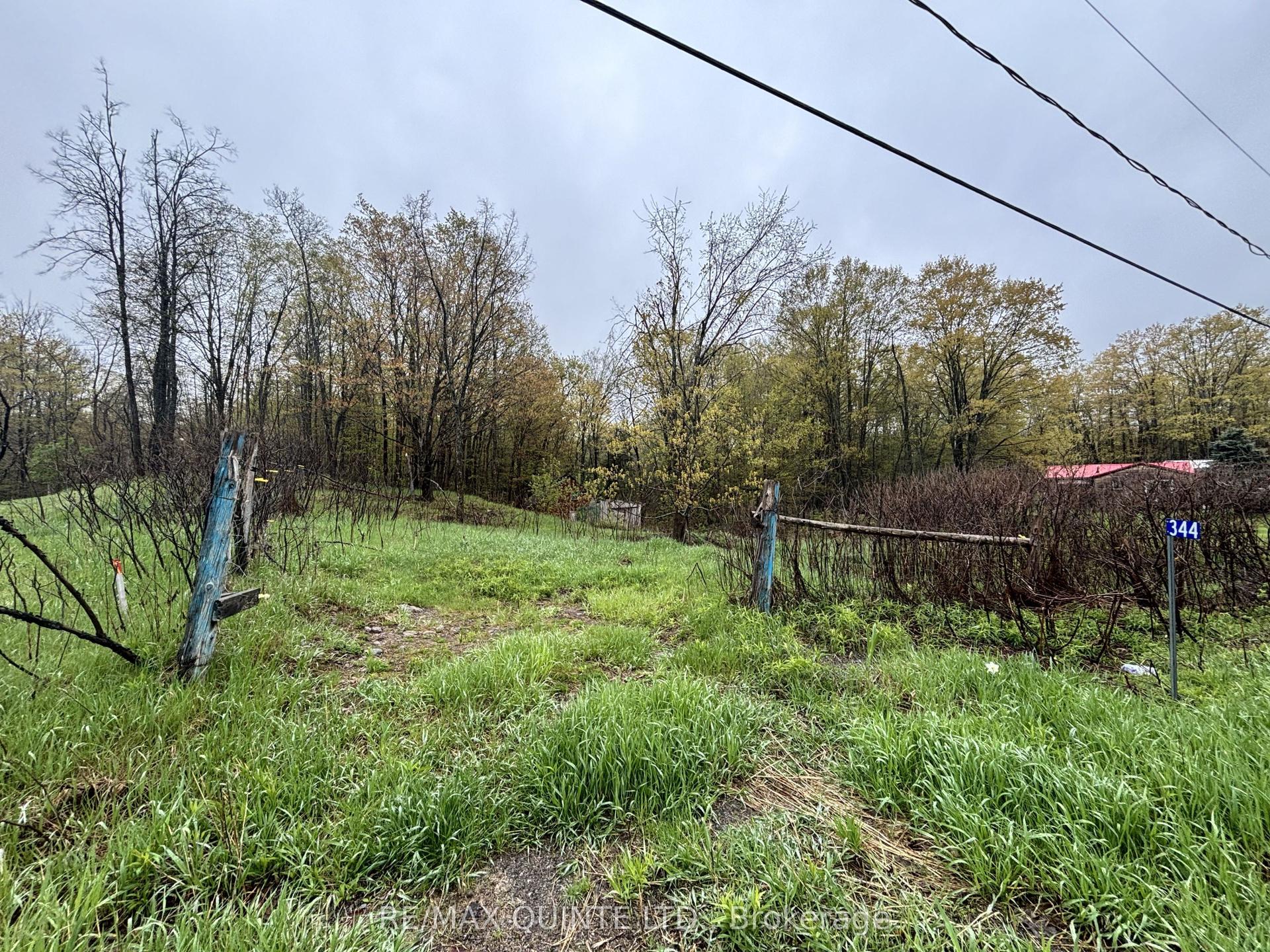 344 Quin-Mo-Lac Road, Centre Hastings — Land for sale, photo 1