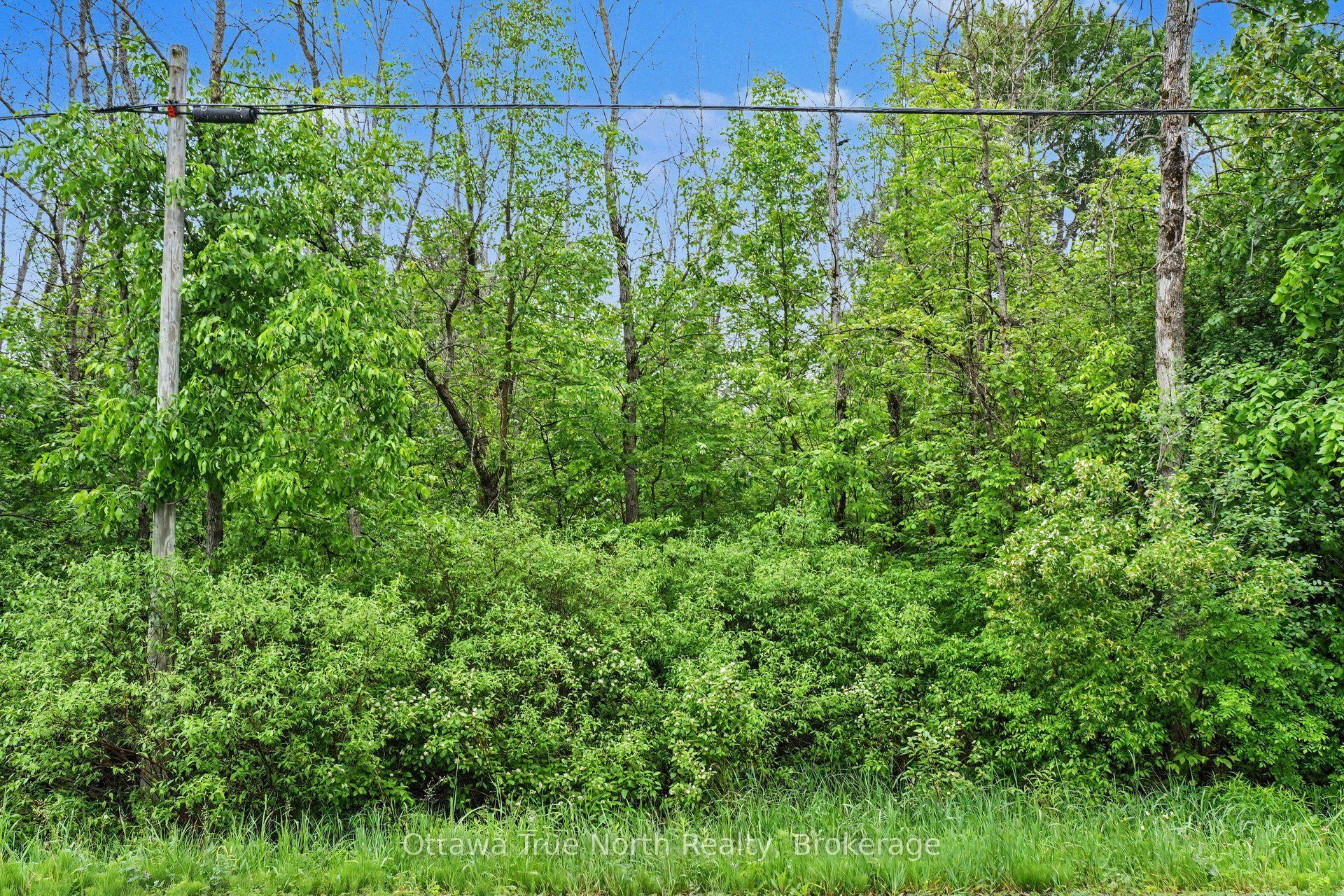 412 Scotch Line Road — photo 1