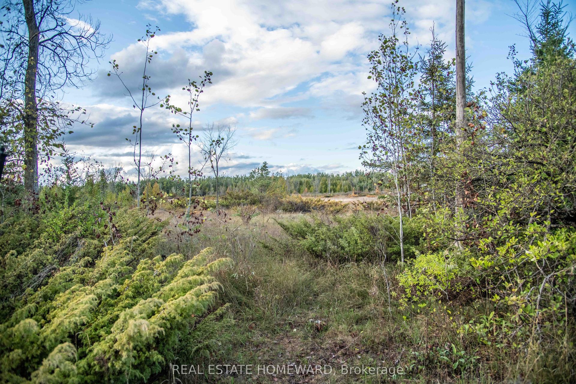 Lot 256 McGuire Beach Road — photo 1