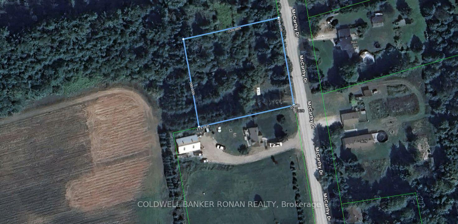 3678 McCarthy Drive — photo 1