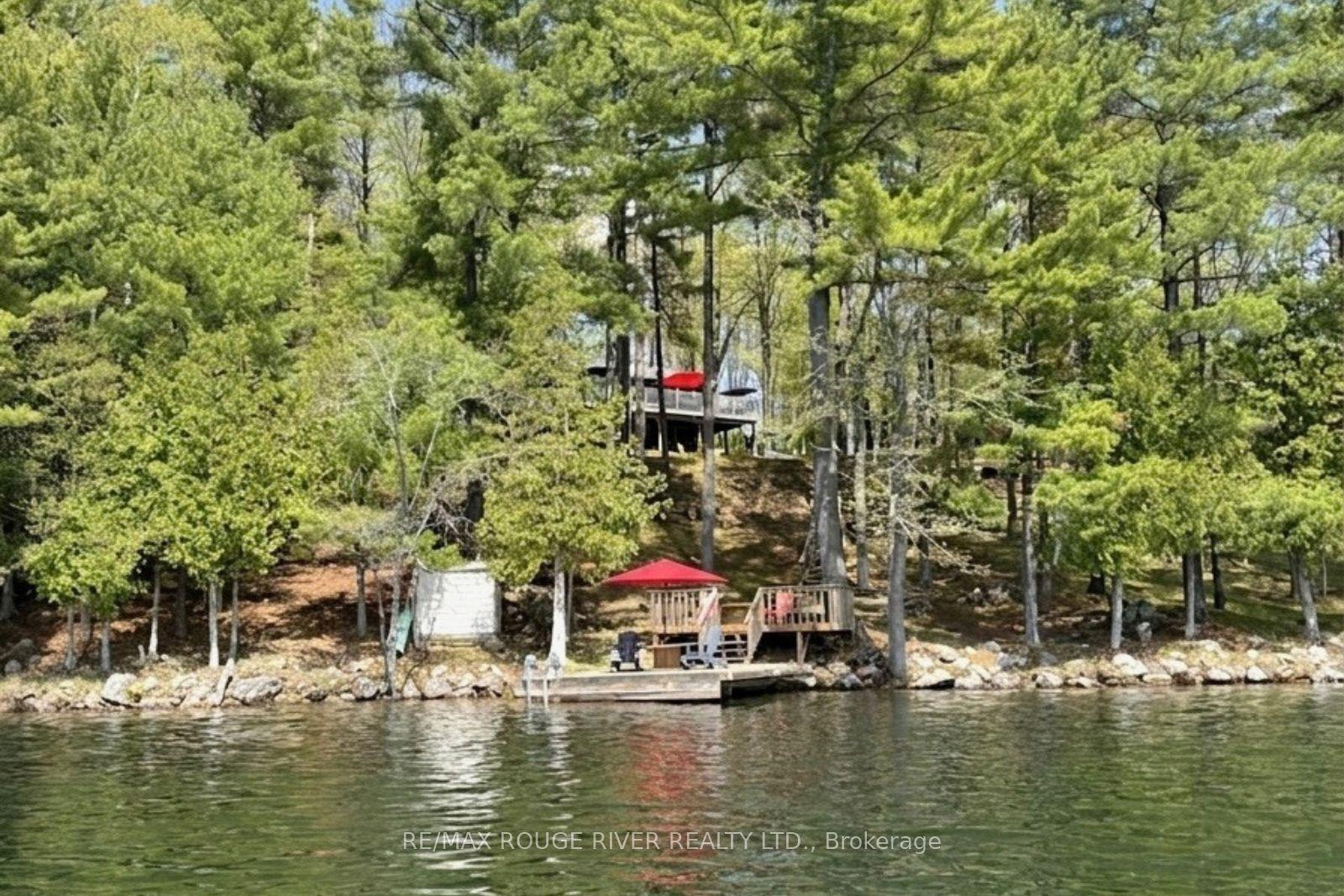 1784A Opeongo Point Road — photo 1