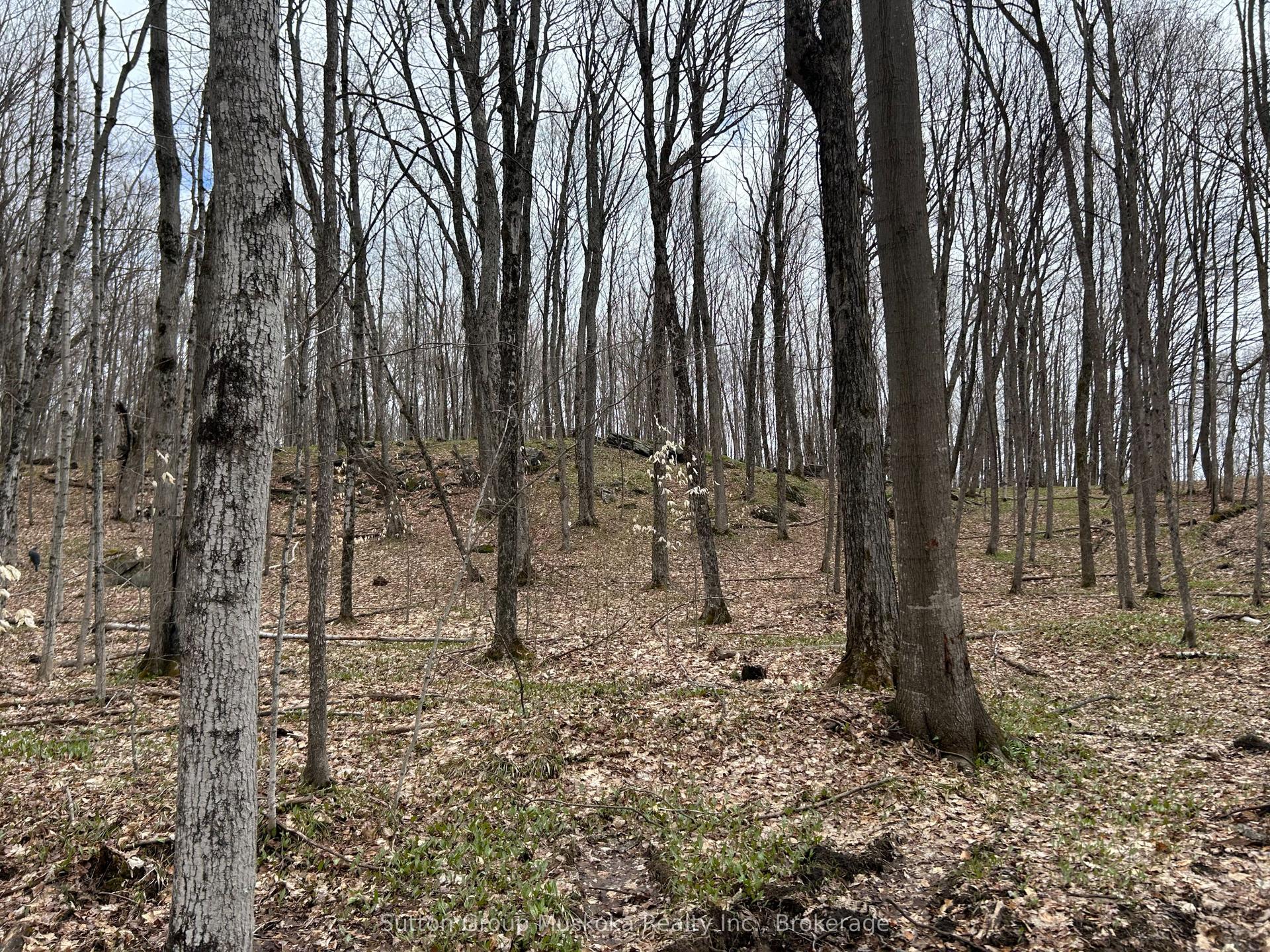 0 Tally Ho Winter Park Road — photo 1