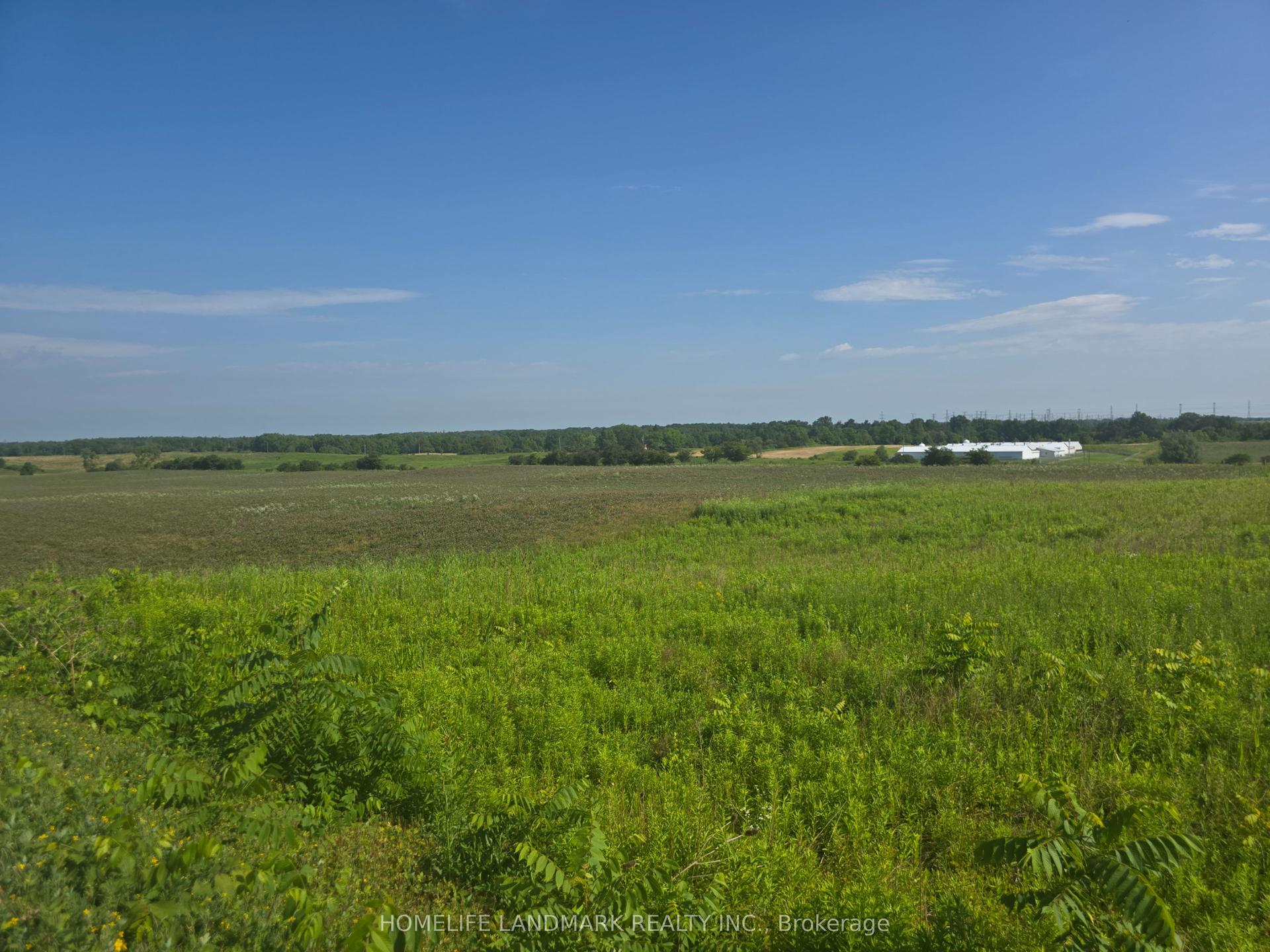 5177 Hwy #6, Haldimand — Land for sale, photo 1