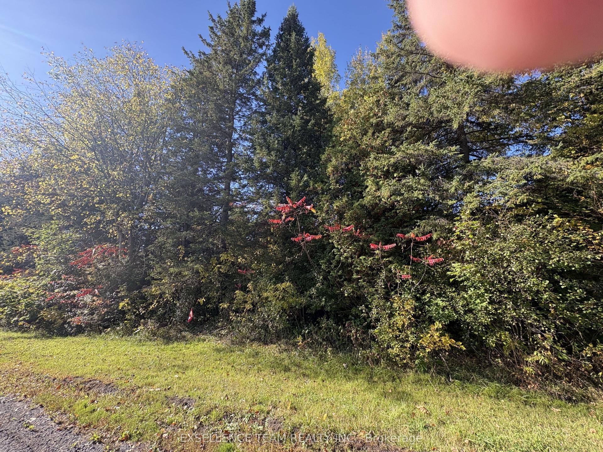 N/A Glen Roy Rd Road, South Glengarry — Land for sale, photo 1