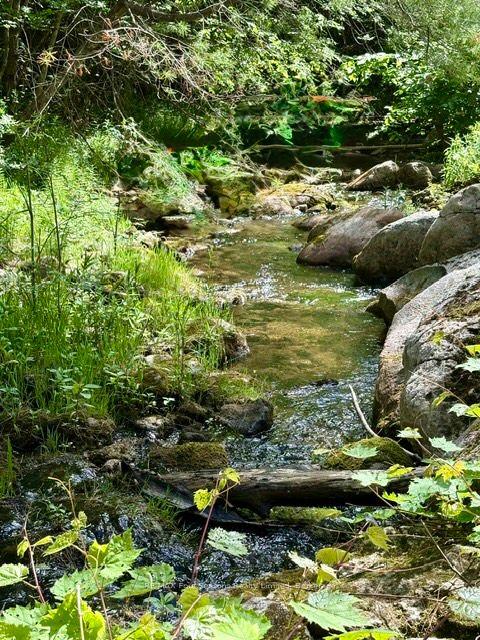 PT LT 12 Part 2 18 Grey Road, Meaford — Land for sale, photo 1