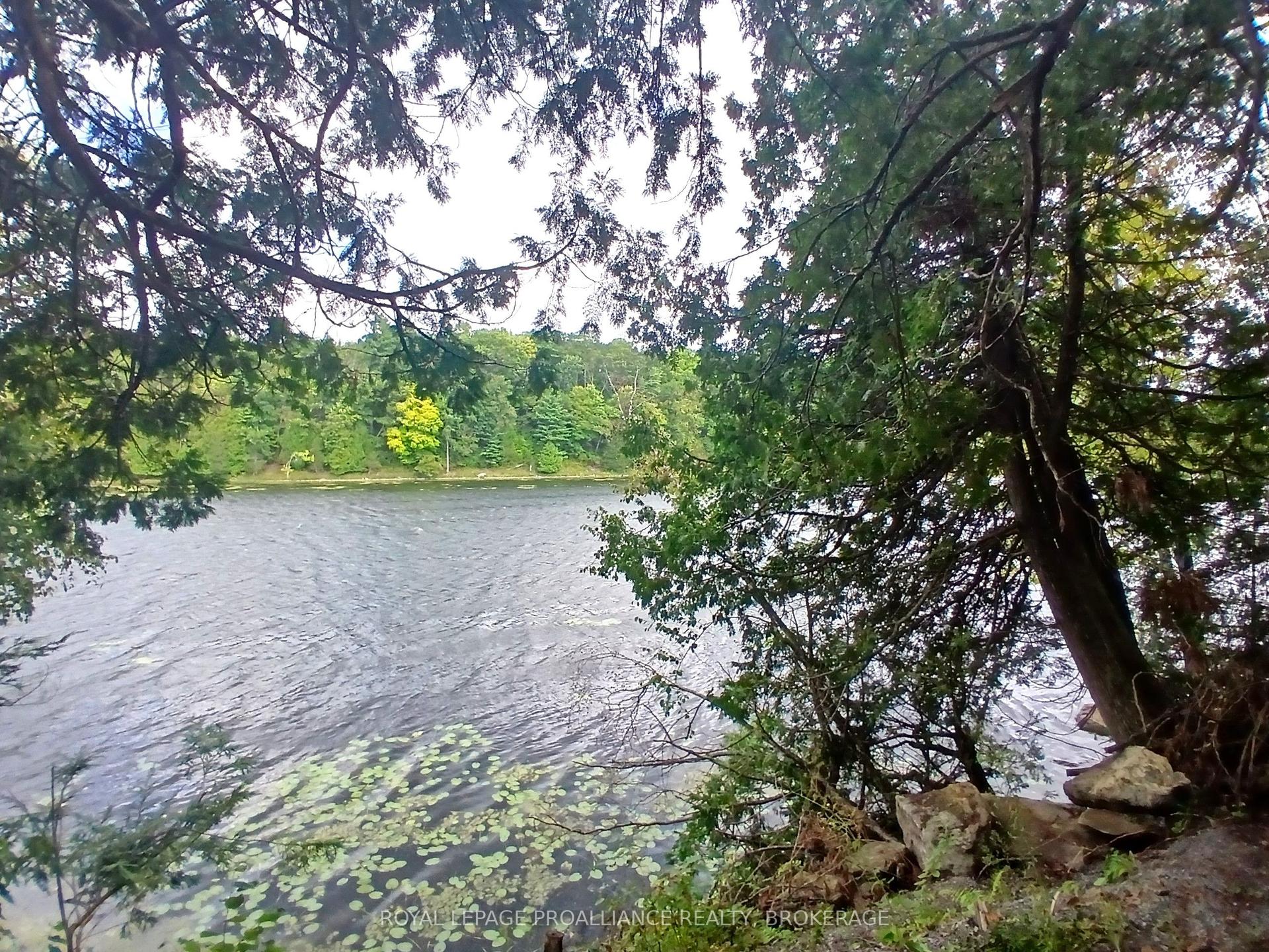 1030 Lodge Lane — photo 1