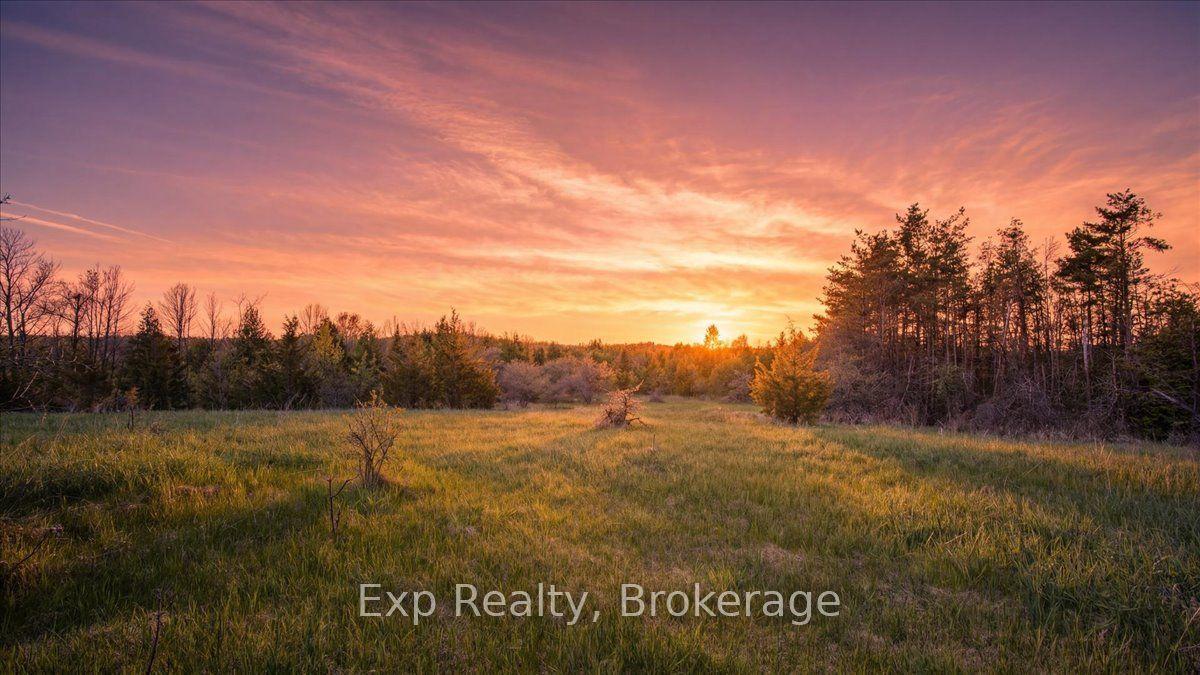 Lot 2 Asphodel 3rd Line — photo 1