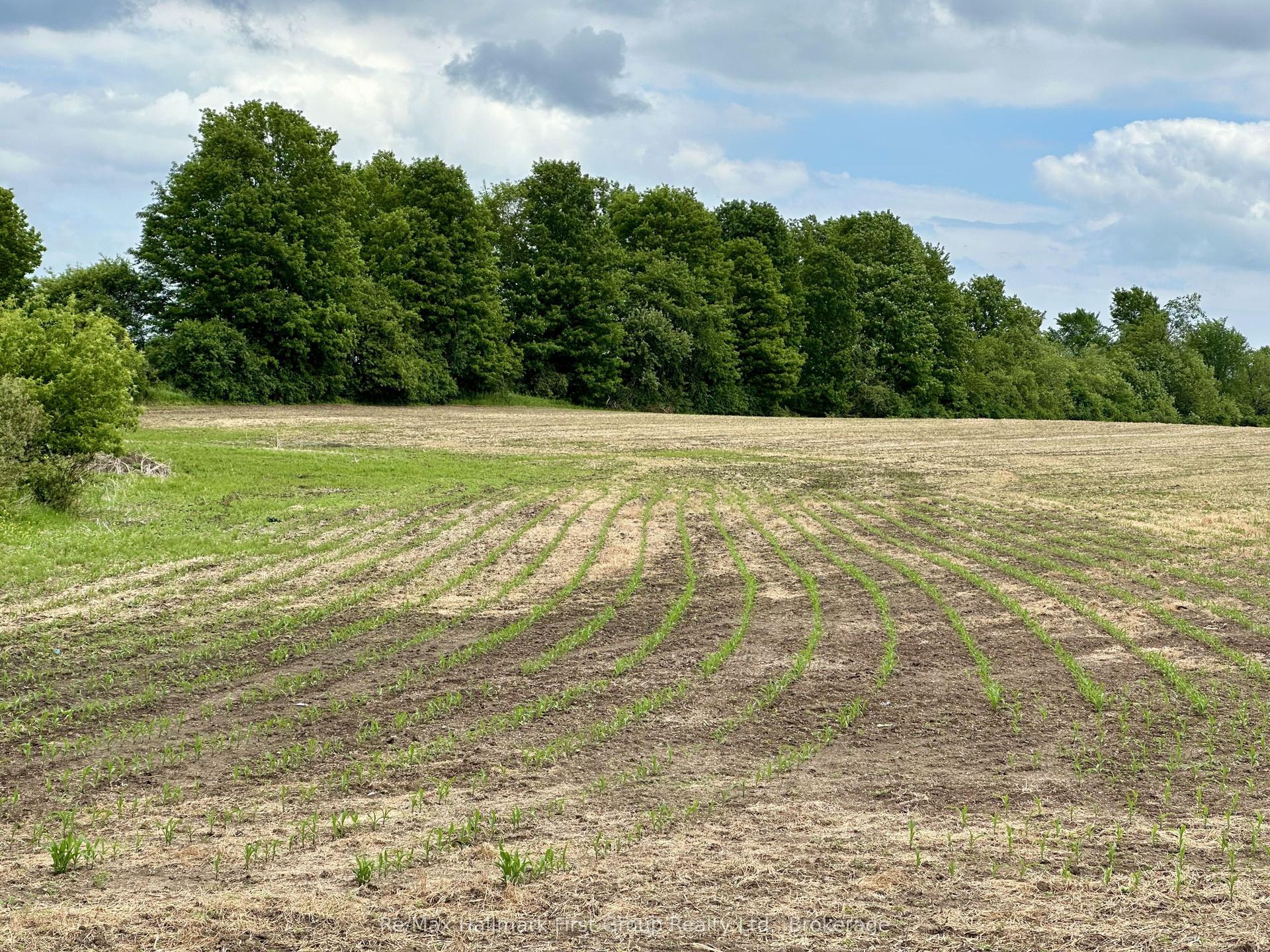 430 Scugog 6 Line, Scugog — Land for sale, photo 1