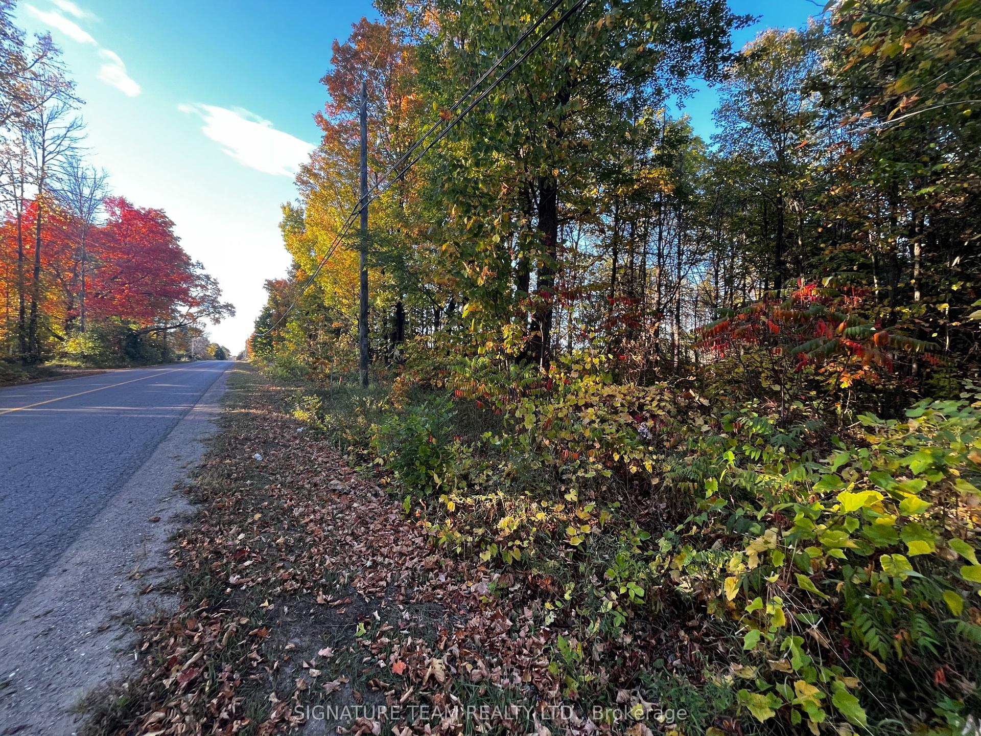 lot 0 Bellamy Road — photo 1