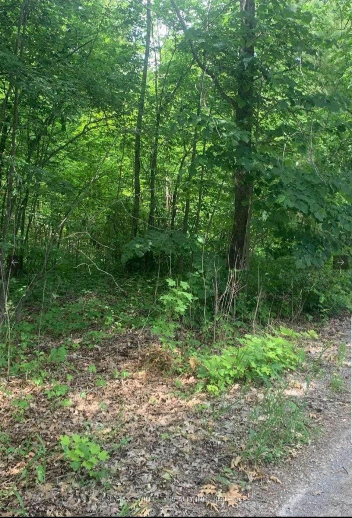 Lot 12 Suter Drive — photo 1