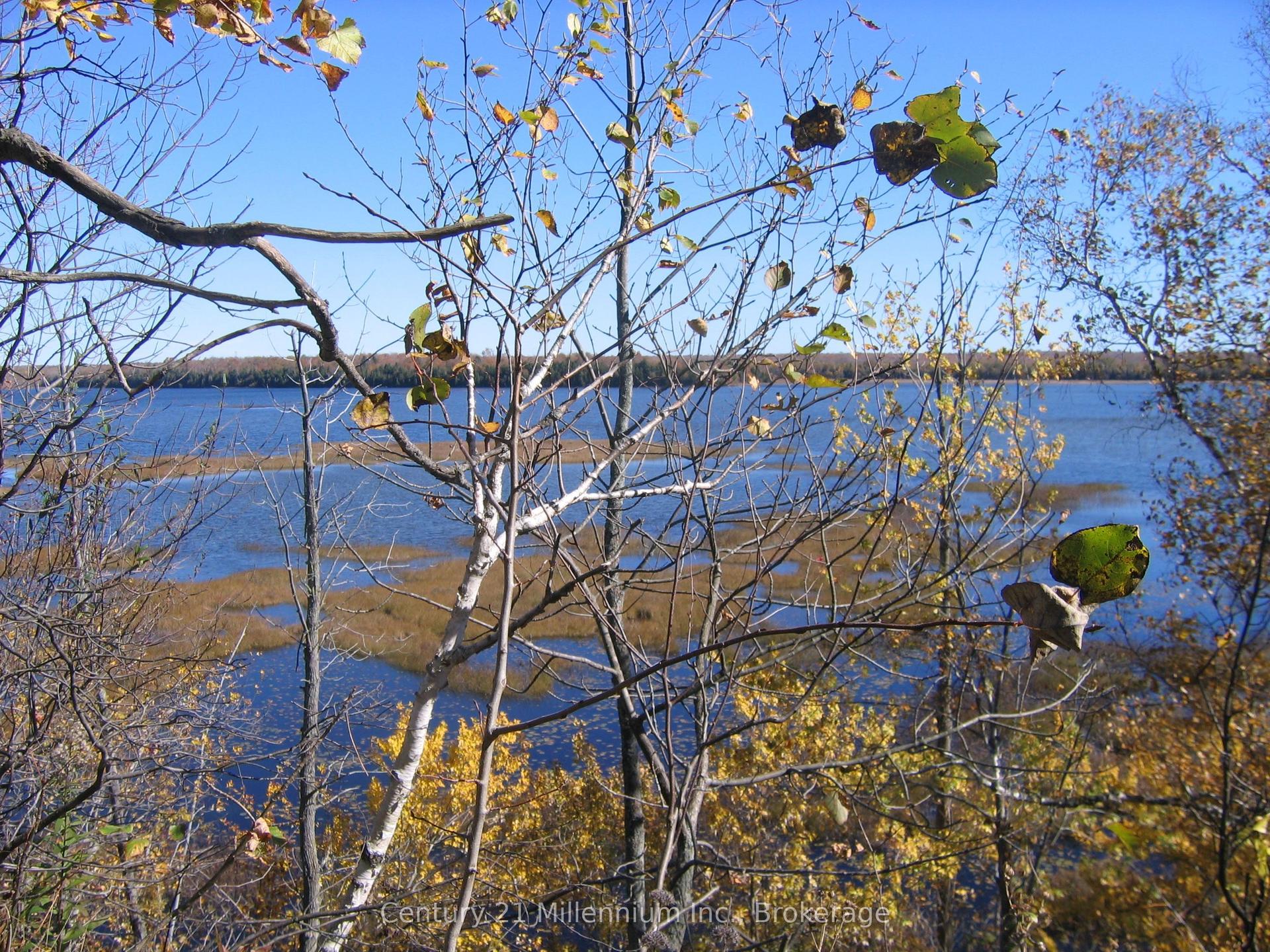 0 LT 26 CON 2 WBR Albemarle Concession, South Bruce Peninsula — Land for sale, photo 1