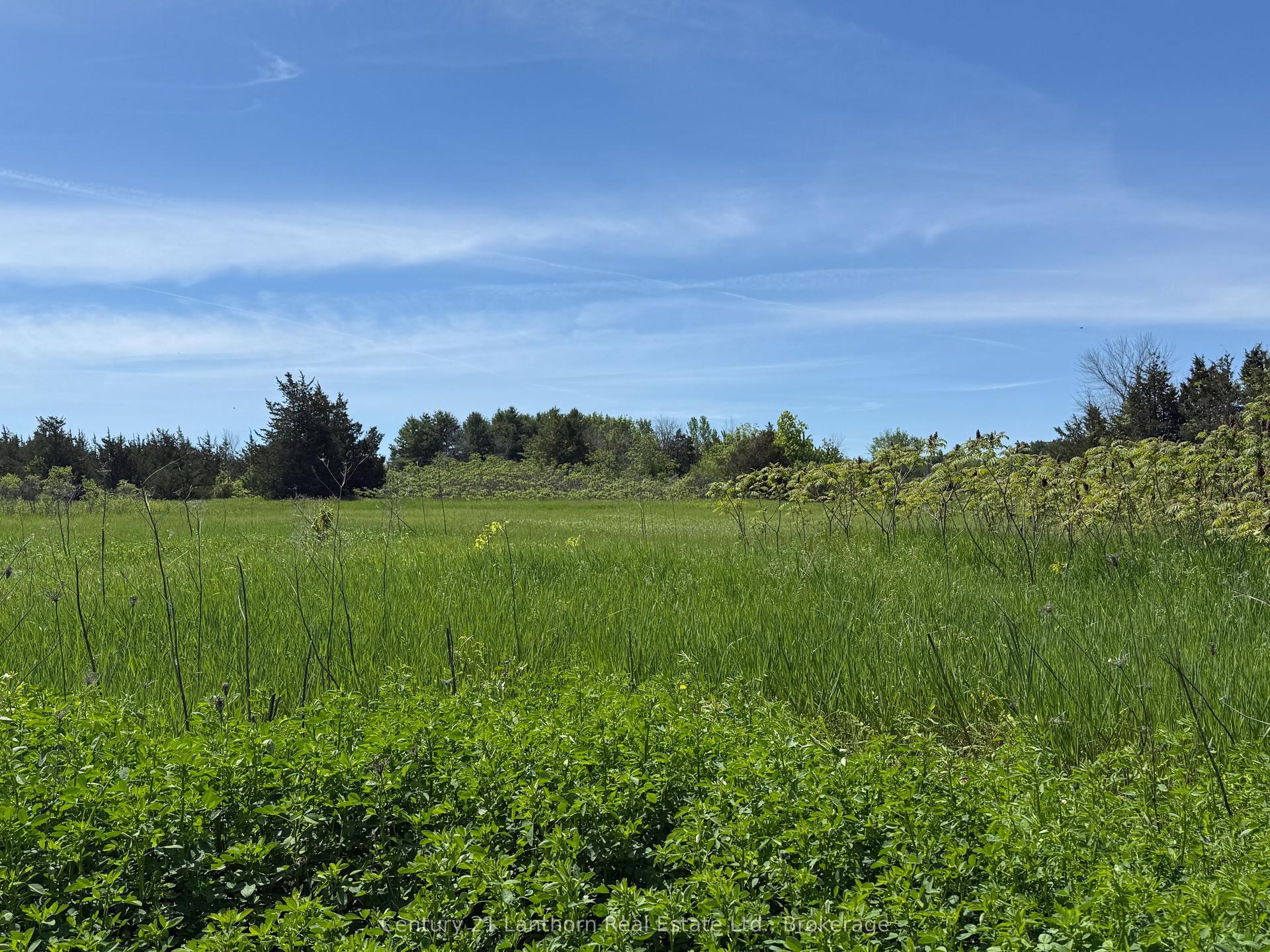 Lot 58 Prinyer's Cove Crescent — photo 1