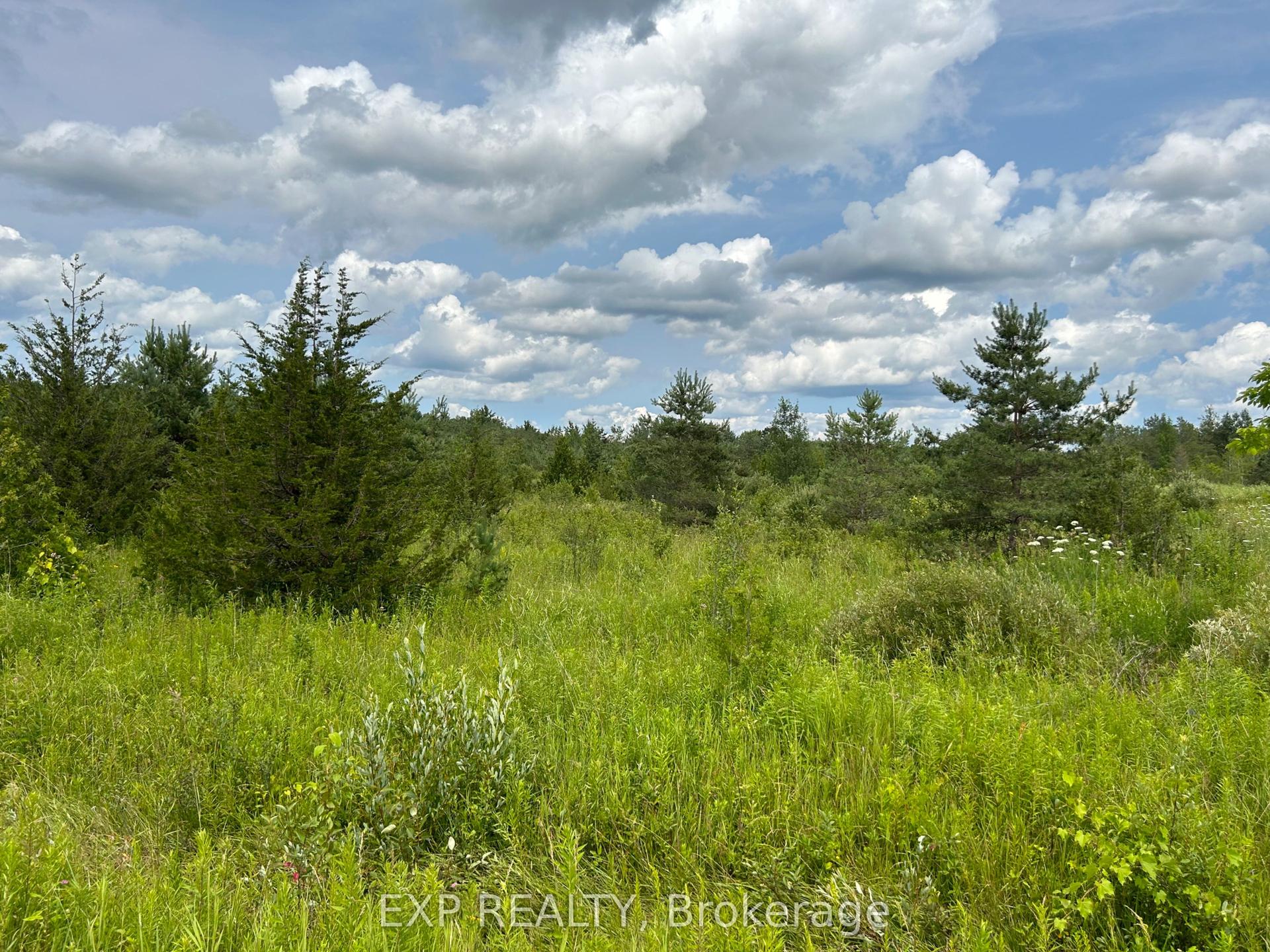 1155 Wood Road — photo 1