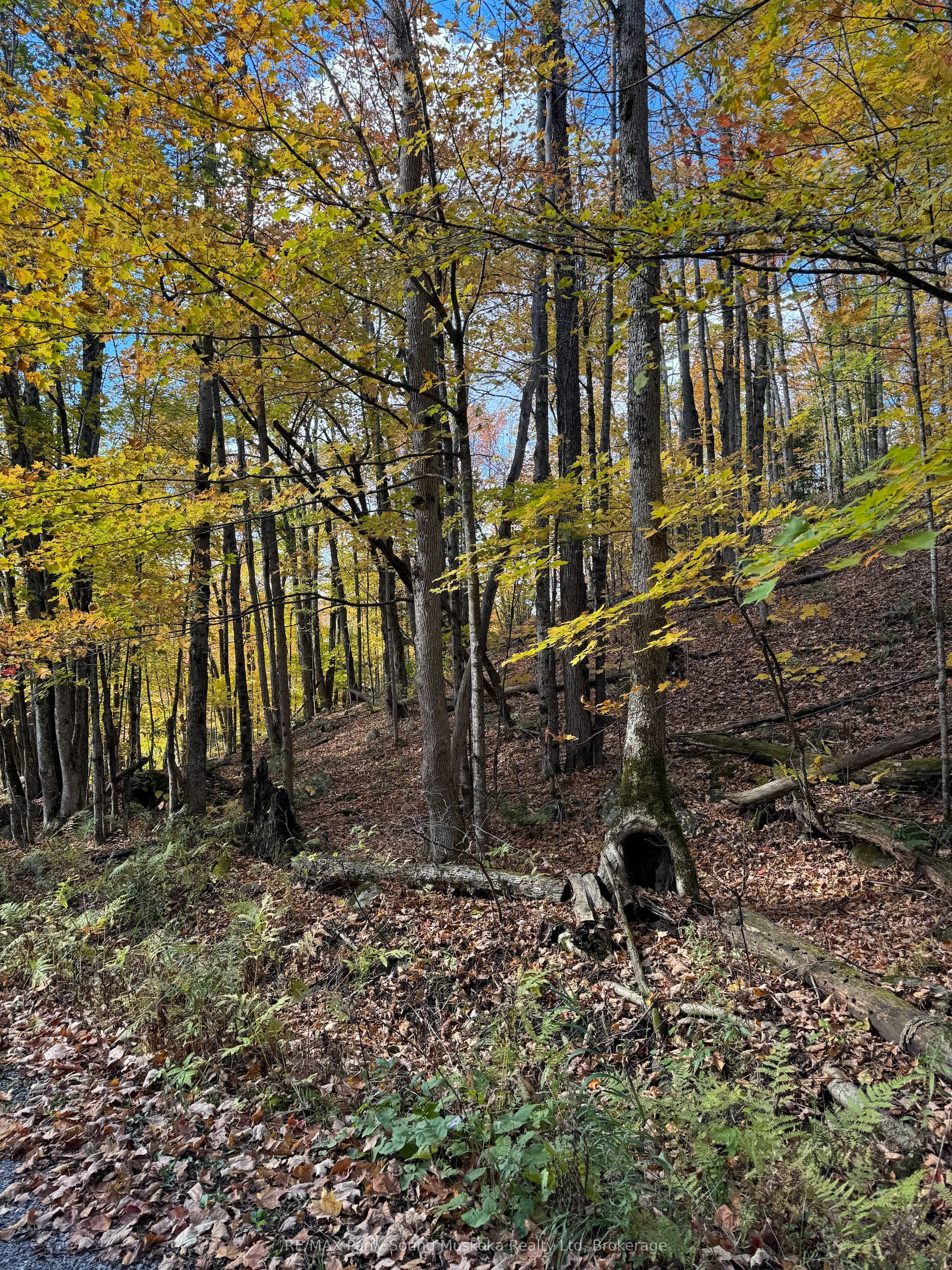 353C BALSAM CREEK Road — photo 1