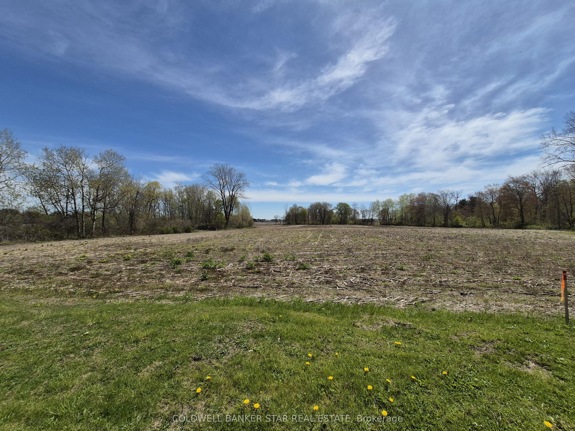 4876 IMPERIAL Road, Malahide — Land for sale, photo 1