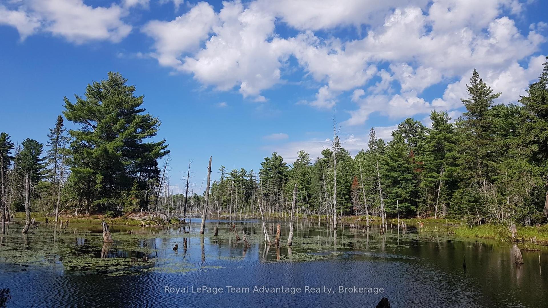 0 Unopened Road Allowance Road — photo 1